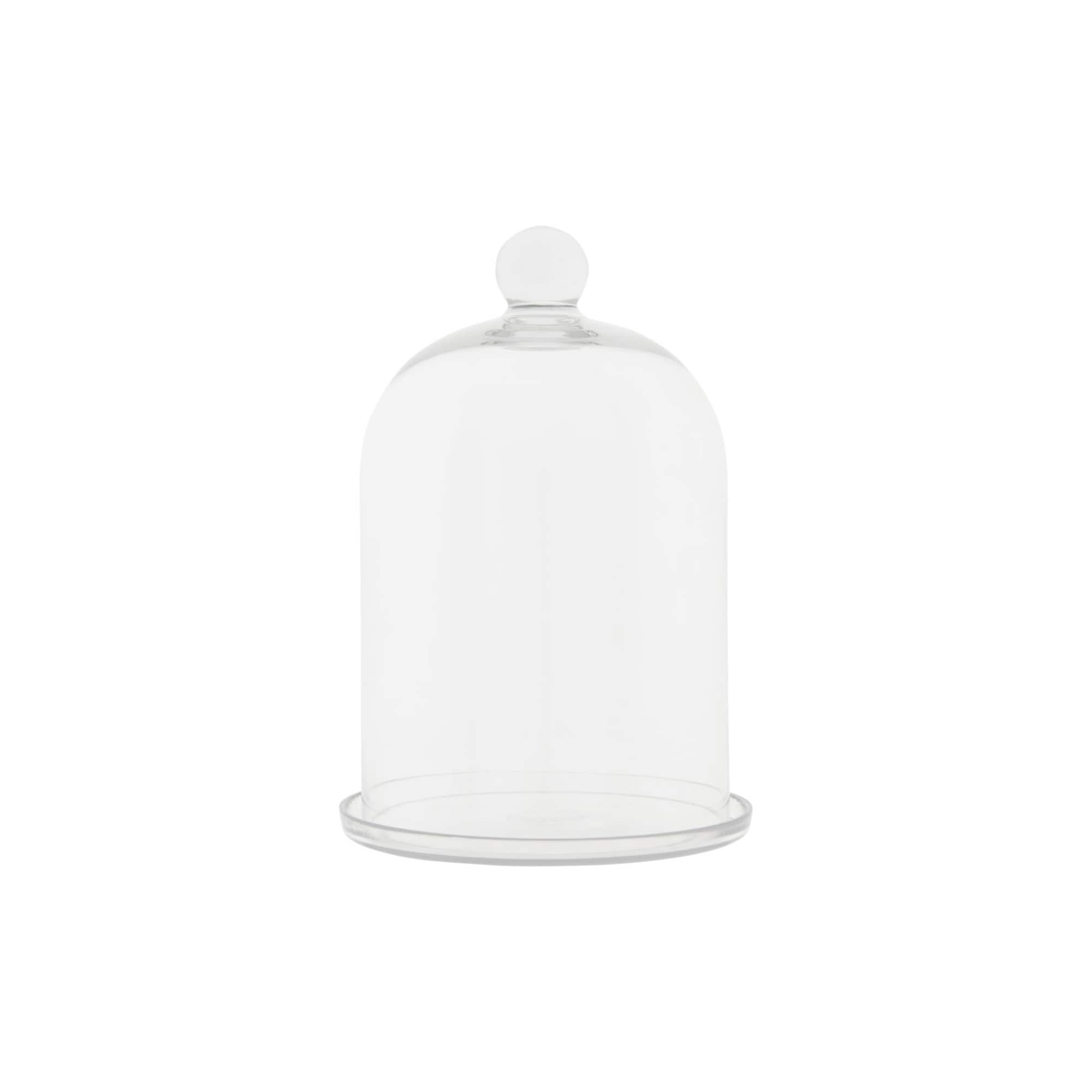 Hello Honey® Glass Cloche with Clear Glass Plate Set